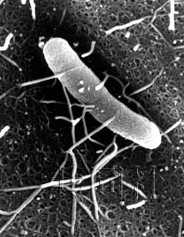 Img276144741 Img276144741