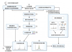 合成人类蛋白组质学有助加速蛋白研究-2