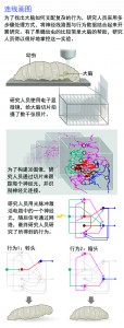 如何测绘神经回路2.3