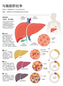 FIGHTING THE FATTY LIVER-1 (1)