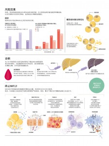 FIGHTING THE FATTY LIVER-1 (2)