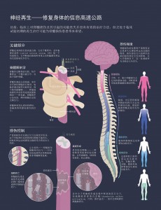 图片处理_页面_2