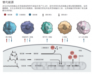 替代能源