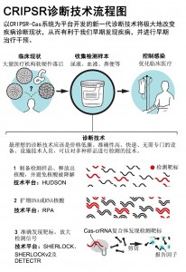 Next-generation diagnostics with CRISPR