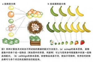 新工具助力单细胞表达数据的比较和分析