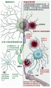 有益还是有害2