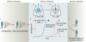 结核分枝杆菌复合体的生态和进化-3