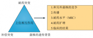 结核分枝杆菌复合体的生态和进化-4