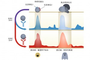 虚幻峰