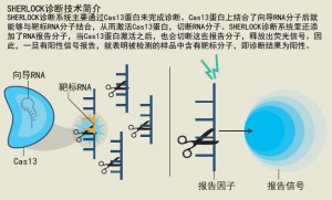 医疗科技新进展2