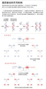 基因驱动的是与非2