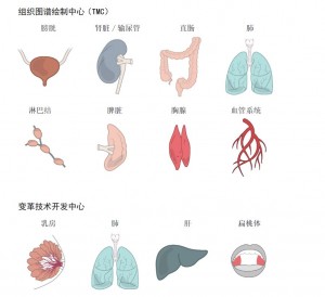 图2. HuBMAP最初分析的关键组织和器官