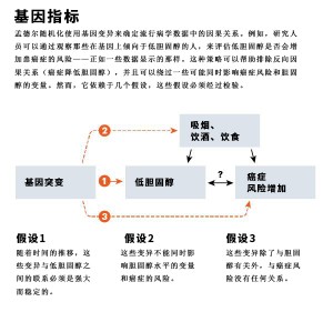 基因指标