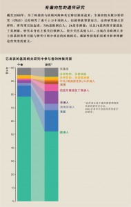 有偏向性的遗传研究