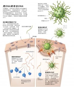 球形在医疗领域的应用