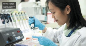 玛希隆大学科学家通过电泳分离凝胶中装载的DNA