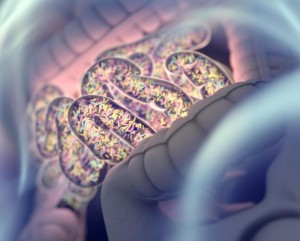 人类肠道中的微生物群是我们“第二基因组”（‘second genome’）的来源，而测序正在揭示它的秘密。