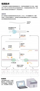 检测技术