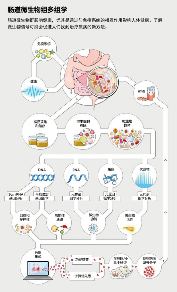 肠道微生物组多组学