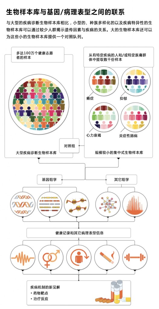 生物样本库加速了基因-病理表型的发现2