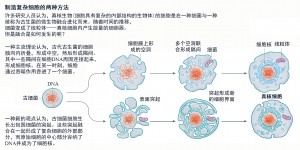 复杂生命体的起源——神秘微生物1