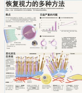 恢复视力的多种方法-1