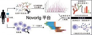 深入研究免疫力：使用蛋白质基因组学技术解码-1