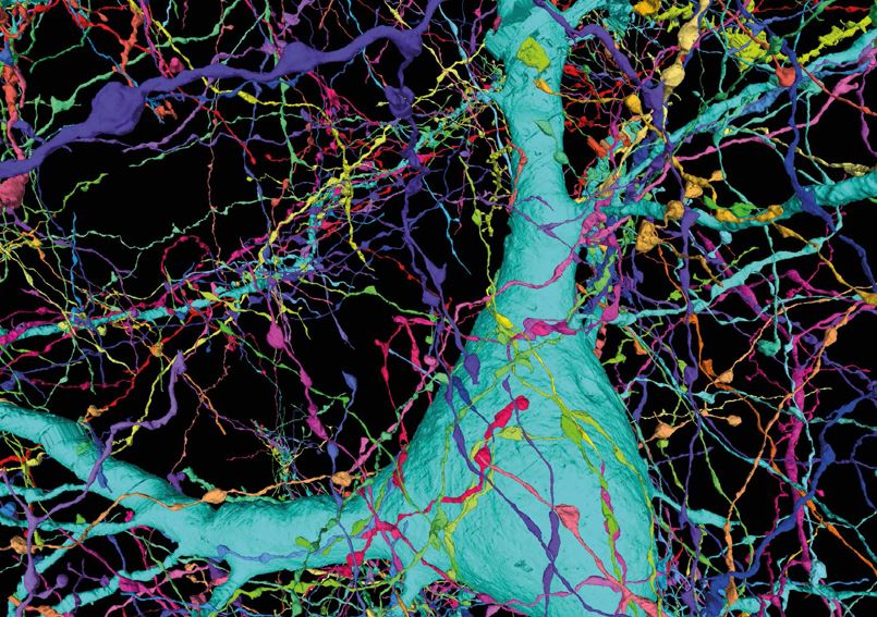 深度解析新浪NBA首页如何成为国内篮球迷首选的信息聚合平台